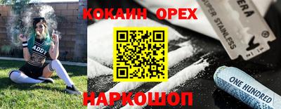 мдпв Гусев