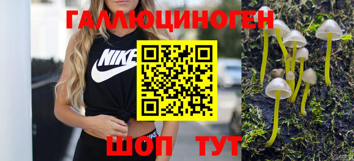 Аксай  Псилоцибиновые грибы Psilocybine cubensis  Вход с VPN 