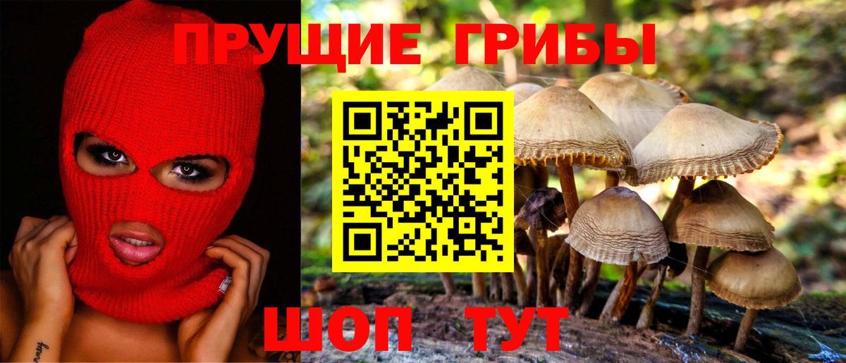 Галлюциногенные грибы мицелий Аксай